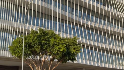 Building facade with trees in front, building geometry, building lines and urban Stock Footage 328351950