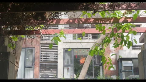 Building Facade Viewed Through Leafy Pergola, No People Stock Footage 330402635