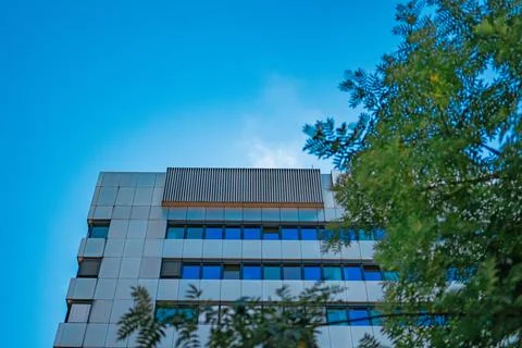 Building Facade Viewed Through Tree Branches With a Steaming Rooftop on a H.. Stock Photos