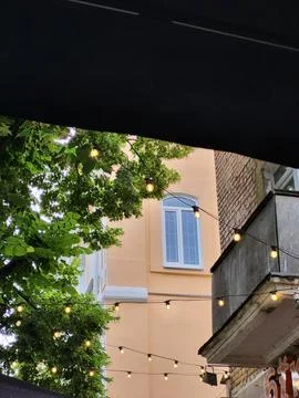 Building facade with a window through a tree crown Stock Photos