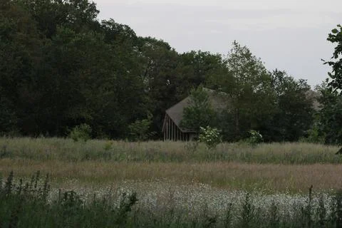 Building in forest Foto stock