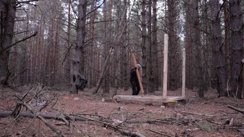 Building a frame house from pine logs in the woods Stock Footage 200878385