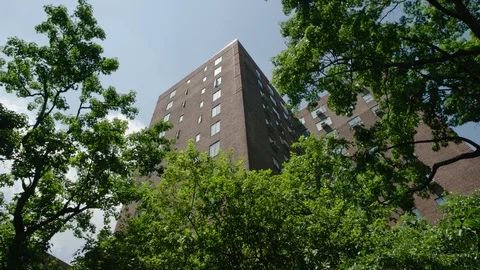 Building framed by trees Video stock 108709885