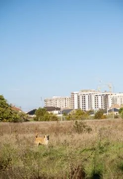 A building with a grassy field Foto stock