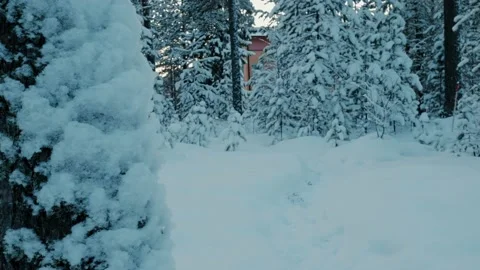 Building Hiding In The Snowcoverd Forest Stockbeeldmateriaal 169791904