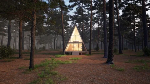 Building a house in forest Stock Footage 99982556