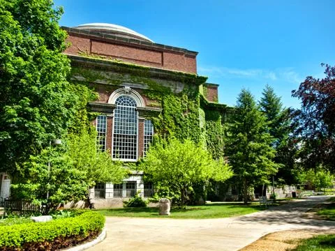 Building with ivy Stock Photos