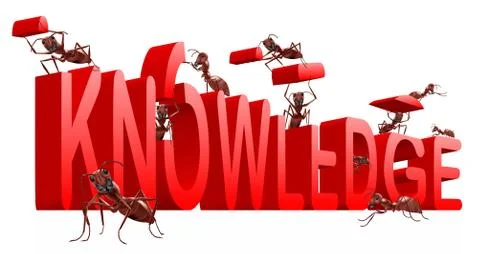 Building knowledge Stock Illustration