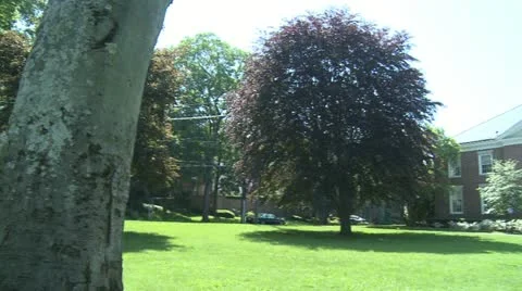 Building with large clock tower (3 of 3) Stock Footage 19649296