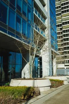 Building with large windows and bare trees in a city setting during a sunny d 스톡 사진