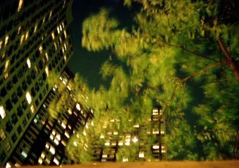 Building lights and tree at night, view from below, blurred. Stock Photos