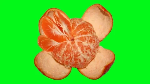 Building a mandarin on green screen - stop motion animation Stock Footage 45850294