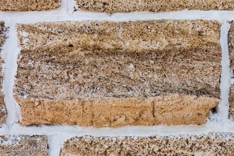 Building material texture. Bricks formed by seashells. Background, texture Stock Photos