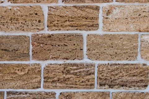 Building material texture. Bricks formed by seashells. Background, texture Stock Photos