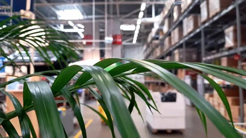 Building materials stores. Selective focus. Stock Footage 259662238