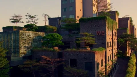 Building in the morning Stock Footage 303570668