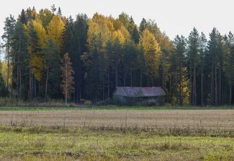 Building next to a forest Stock Photos