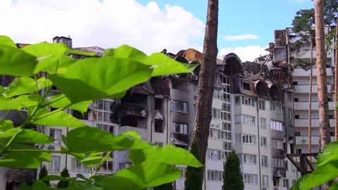 Building with numerous windows surrounded by lush trees and leaves Stock Footage 274572078