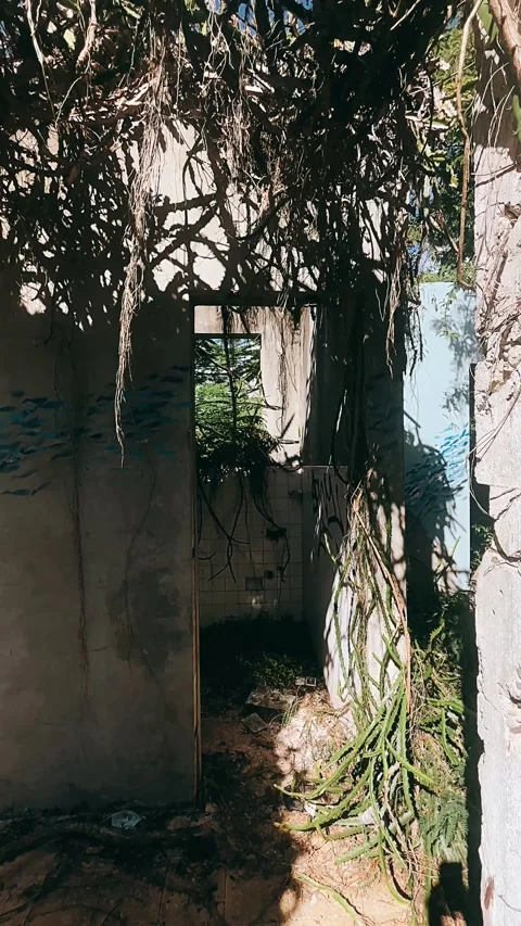 Building, old, adandoned Stock Footage 227379979