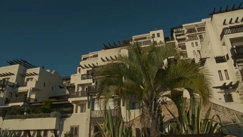 Building with palm trees background 2 Stock Footage 130751490