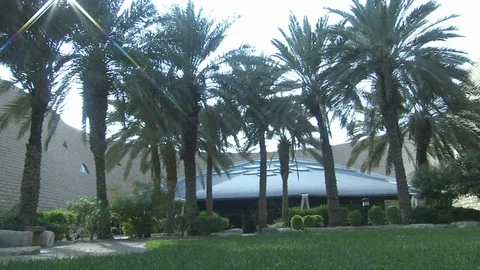 A building with palm trees in the foreground. Vídeos de archivo 120062360