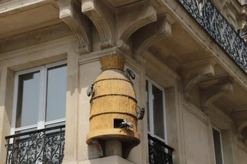 Building in paris Stock Photos
