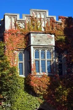 Building Stock Photos