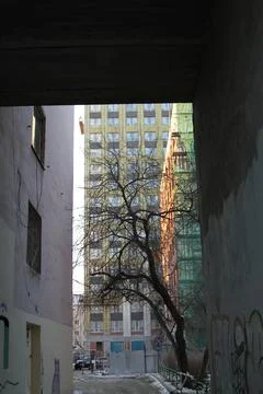 Building Stock Photos