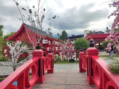 Building Stock Photos