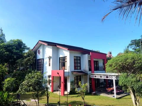 Building Stock Photos