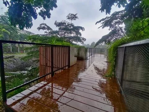 Building Stock Photos