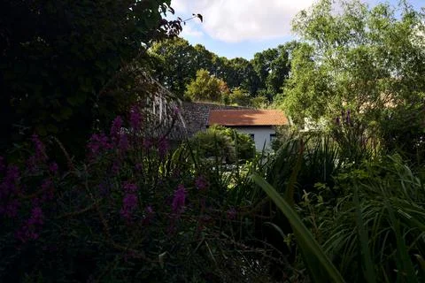 Building in a pond of a park framed by trees and plants Fotos de archivo