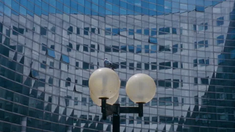 Building reflection in la defense Paris Video stock 228675377