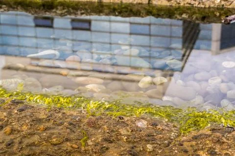 Building Reflection in Pond Stock Photos