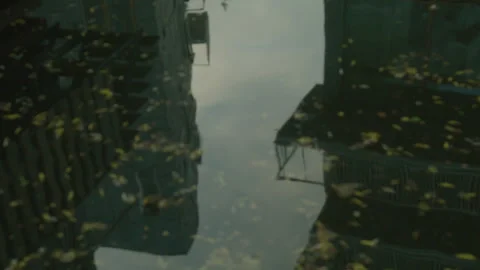 Building In Reflection Of Puddle Stock Footage 273708645