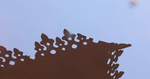 Building Reflection in the water Stock Footage 324499783