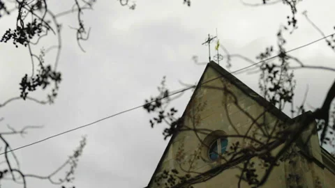 Building rooftop with tree branch foreground Stock Footage 340972204