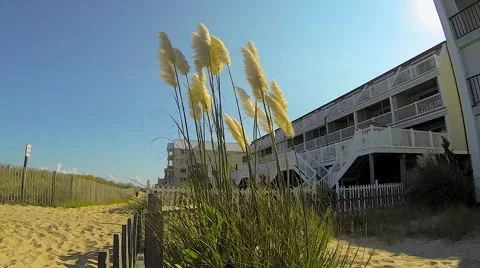 Building on Sand Beach Stock Footage 59683570