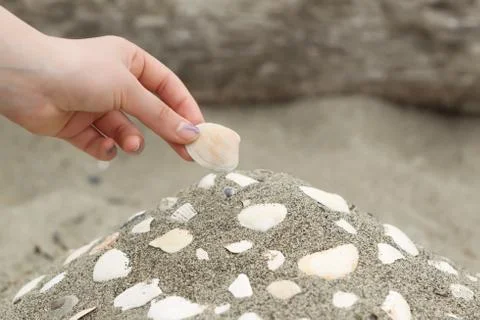 Building a seashell collection on the beach Stock Photos