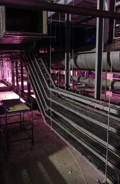 Building services in an building Cable ladders with cables in an industria... Fotos de archivo