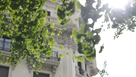 Building with a shine Stock Footage 199247672