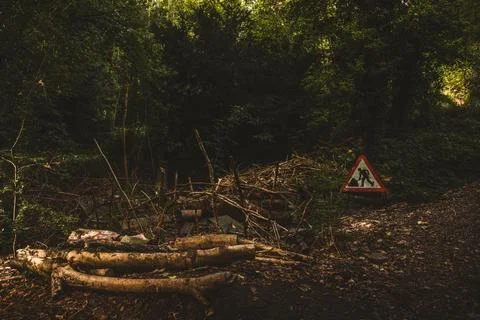 Building site inside of the forest Stock Photos