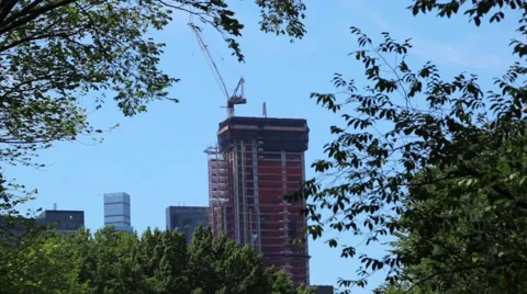 Building Skyscrapers In Trees HD Video stock 67361129
