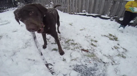 Building a snowman Stock Footage 35913817