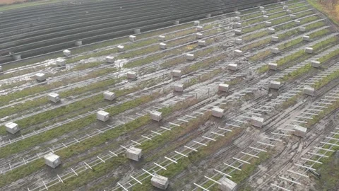 Building Solar Panel Park, Alternative Clean Energy, Aerial Establishing Stock Footage 147388398