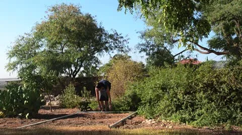 Building a Sukkah on Sukkot Stock Footage