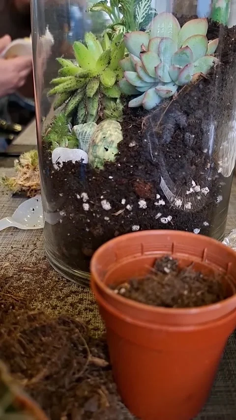 Building a Terrarium during a Workshop. Stock Footage 337132294