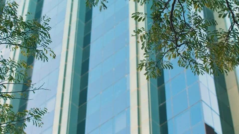 Building through trees 2 Stock Footage 86925323