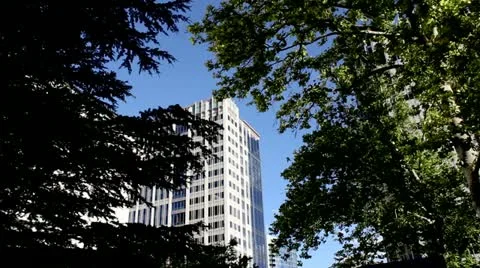 Building through trees Video stock 11289538