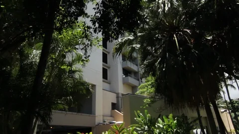 The Building Through The Trees Stock Footage 104789921